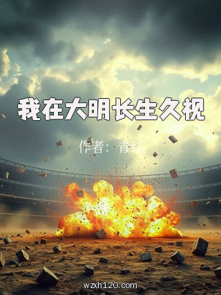 我在大明长生久视
