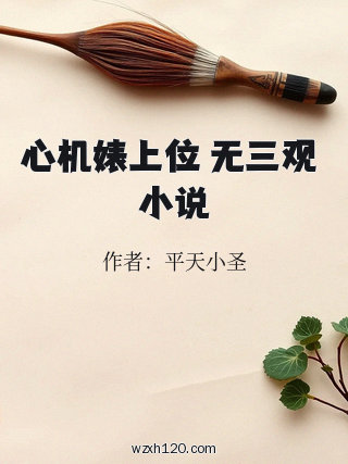 心机婊上位 无三观 小说