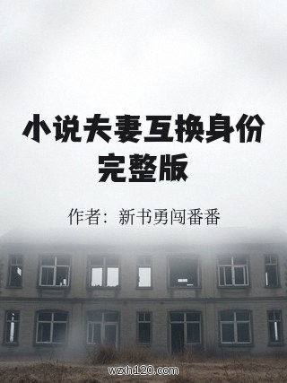 小说夫妻互换身份完整版
