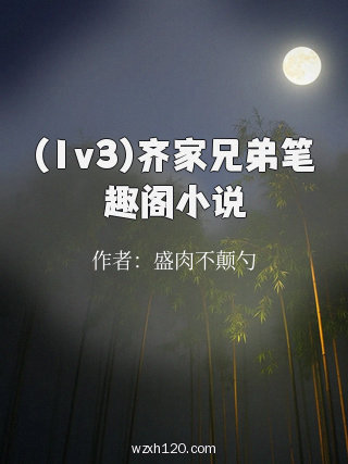 (1v3)齐家兄弟笔趣阁小说