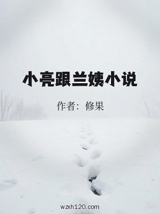 小亮跟兰姨小说