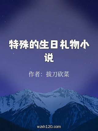 特殊的生日礼物小说