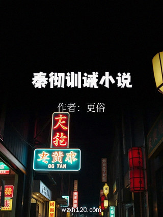 秦彻训诫小说