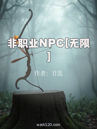 非职业NPC[无限]