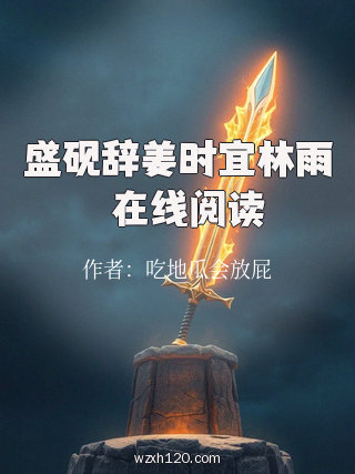 盛砚辞姜时宜林雨濛在线阅读