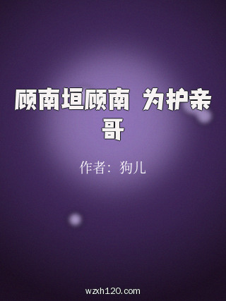 顾南垣顾南玥为护亲哥
