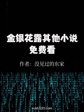 金银花露其他小说免费看