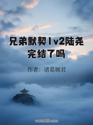 兄弟默契1v2陆尧完结了吗