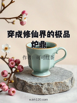 穿成修仙界的极品炉鼎