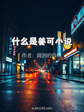 什么是姜可小说