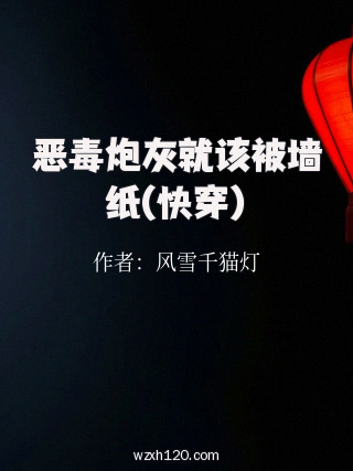 恶毒炮灰就该被墙纸(快穿)