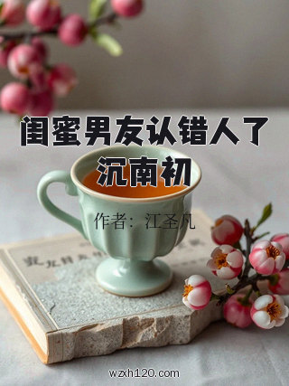 闺蜜男友认错人了沉南初