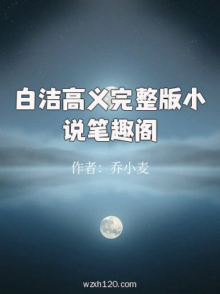 白洁高义完整版小说笔趣阁