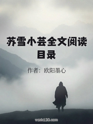 苏雪小芸全文阅读目录