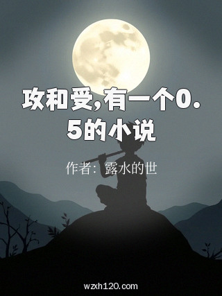 攻和受,有一个0.5的小说