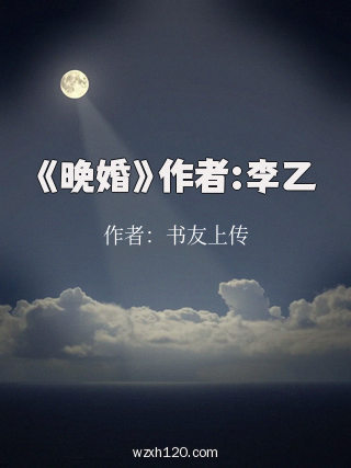 《晚婚》作者:李乙