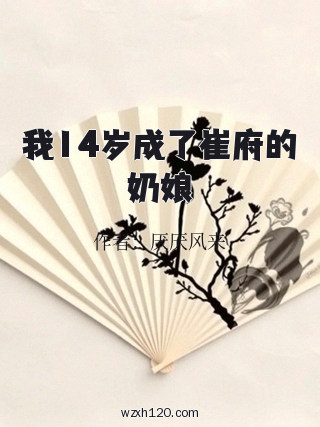 我14岁成了崔府的奶娘