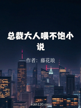 总裁大人喂不饱小说