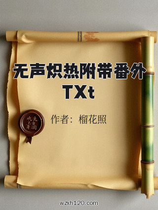 无声炽热附带番外TXt