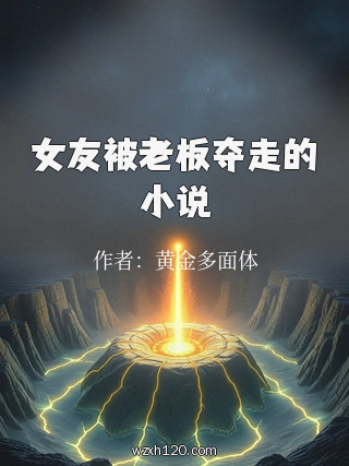 女友被老板夺走的小说