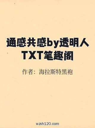 通感共感by透明人TXT笔趣阁