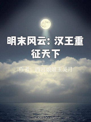 明末风云:汉王重征天下