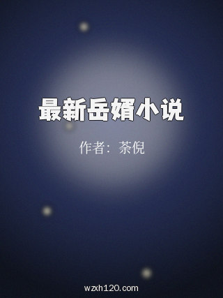 最新岳婿小说