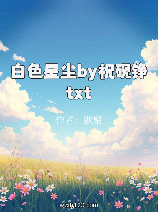 白色星尘by祝砚铮txt