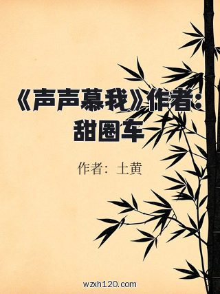 《声声慕我》作者:甜圈车
