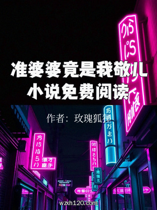 准婆婆竟是我敬儿小说免费阅读