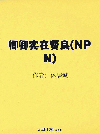 卿卿实在贤良(NPN)