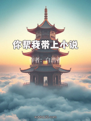 你帮我带上小说