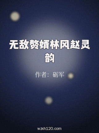 无敌赘婿林风赵灵韵
