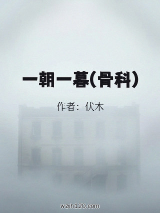 一朝一暮(骨科)