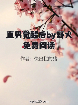 直男觉醒后by野火免费阅读