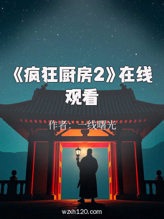 《疯狂厨房2》在线观看
