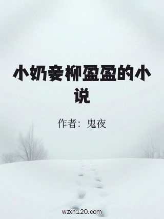 小奶妾柳盈盈的小说