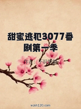 甜蜜逃犯3077番剧第一季