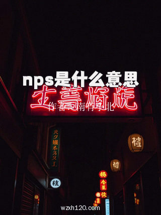 nps是什么意思