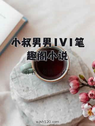 小叔男男1V1笔趣阁小说