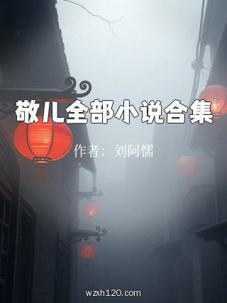 敬儿全部小说合集