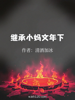 继承小妈文年下