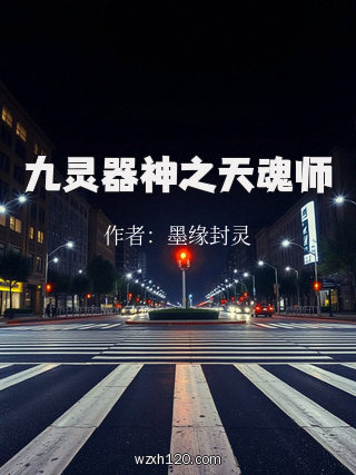 九灵器神之天魂师