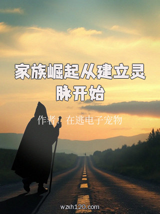 家族崛起从建立灵脉开始