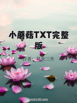 小蘑菇TXT完整版