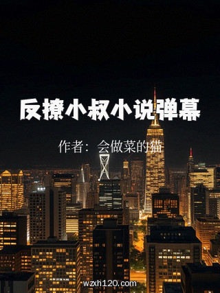 反撩小叔小说弹幕