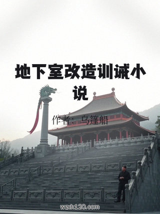地下室改造训诫小说