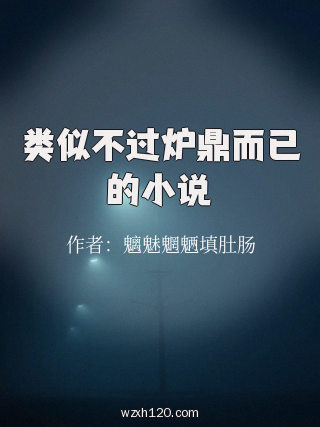 类似不过炉鼎而已的小说
