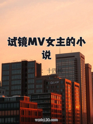 试镜MV女主的小说