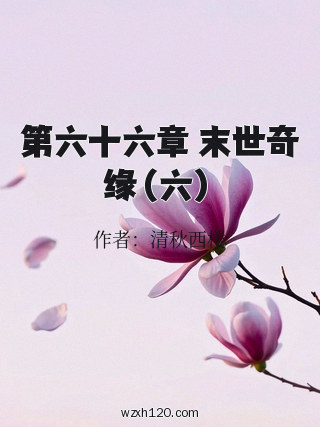 第六十六章 末世奇缘(六)